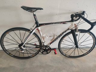 Olympia Bici Corsa Carbonio Monocoque