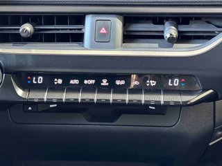 Lexus UX UX 2.0 250H BUSINESS 184CV