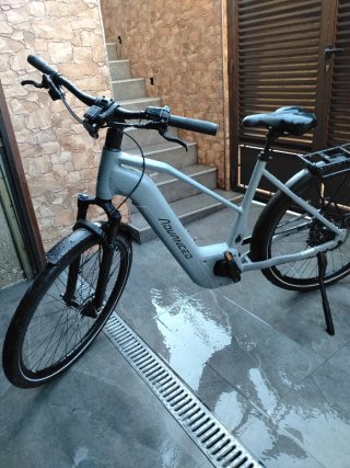 Bicicleta Eléctrica Gris