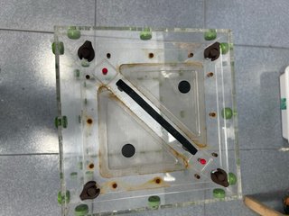Terrario Caja Forrajero Vertical Transparente