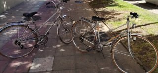 2 Bicicletas de paseo plateadas