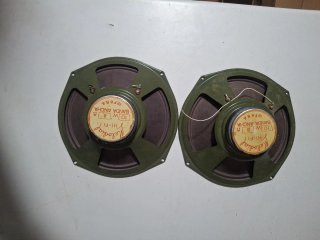 Altavoces 8 pulgadas Marrones y Negros