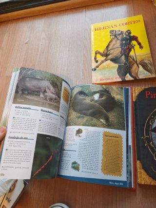 Lote de libros para niños