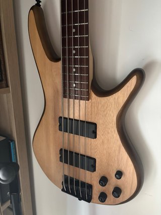 Ibanez GSR205B Bajo 5 cuerdas Custom