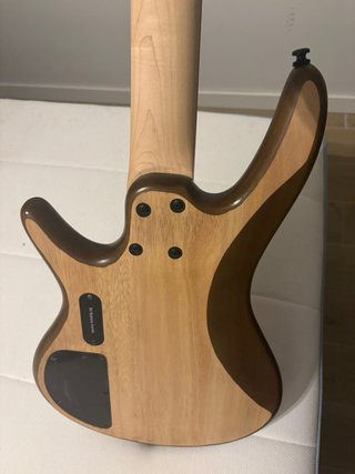 Ibanez GSR205B Bajo 5 cuerdas Custom