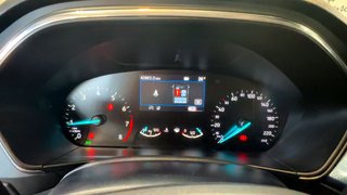 Ford FOCUS Active 1.0T EcoBoost mHEV 92kW 125CV (2024)