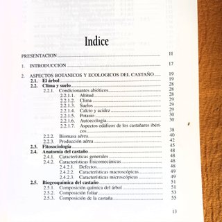 El Castaño Productor Fruto Madera Creador Paisaje