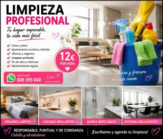 Limpieza profesional