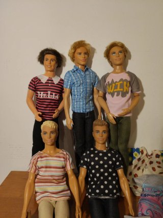 Lote de 5 Muñecos Ken y ropa.