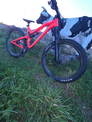 Intense spider 275A