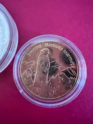 Moneda de plata Świstak Marmota, Polonia 2006, 28g