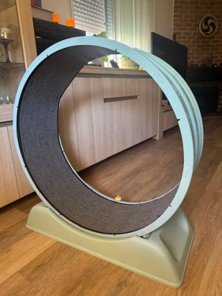 Rueda Ejercicio Gato Plástico