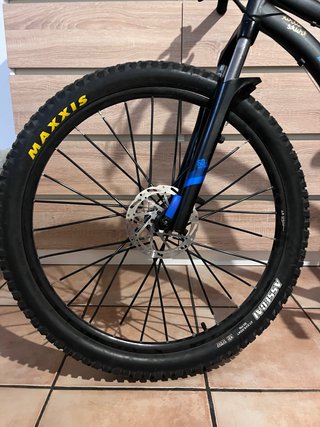 Cubiertas Maxxis para Descenso