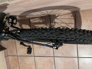 Cubiertas Maxxis para Descenso