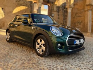 MINI mini