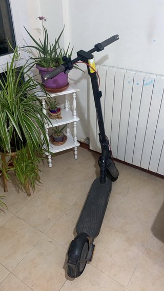 Patinete Eléctrico Xiaomi