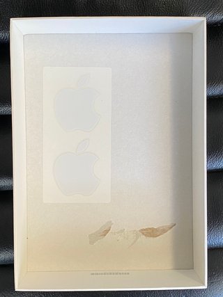 iPad Air 2 Gris Espacial. A1567 Wifi+Celular 128GB