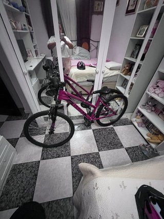 Bicicleta Morada Nueva