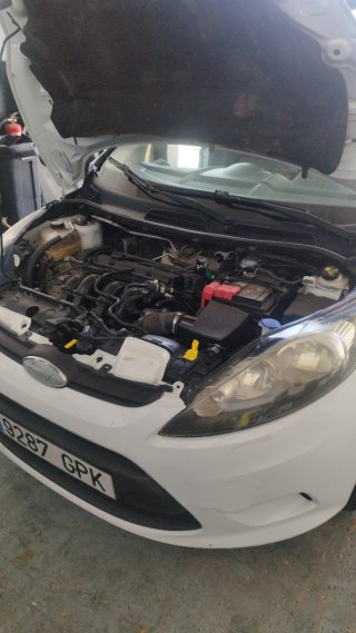 Ford Fiesta 2009