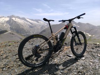 Orbea Wild Junio 2024 Talla M