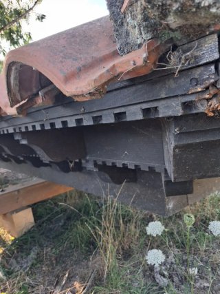 Tejaroz de Puerta de entrada.
