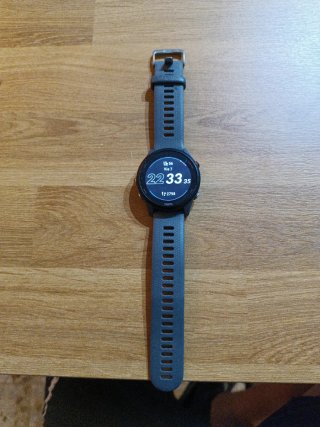 Reloj Garmin Forerunner 255 Gris