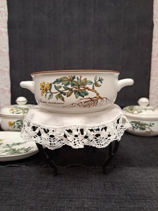Cuenco Villeroy & Boch Botanica