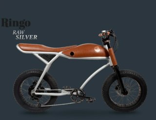 Rayvolt Ringo E-Bike Naranja
