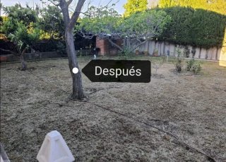 Servicio de jardinería