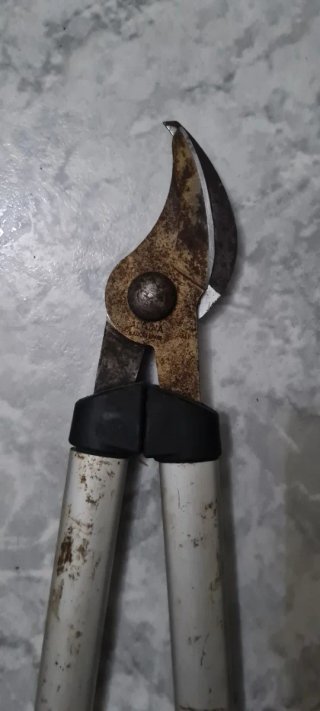 Tijeras de podar de dos manos