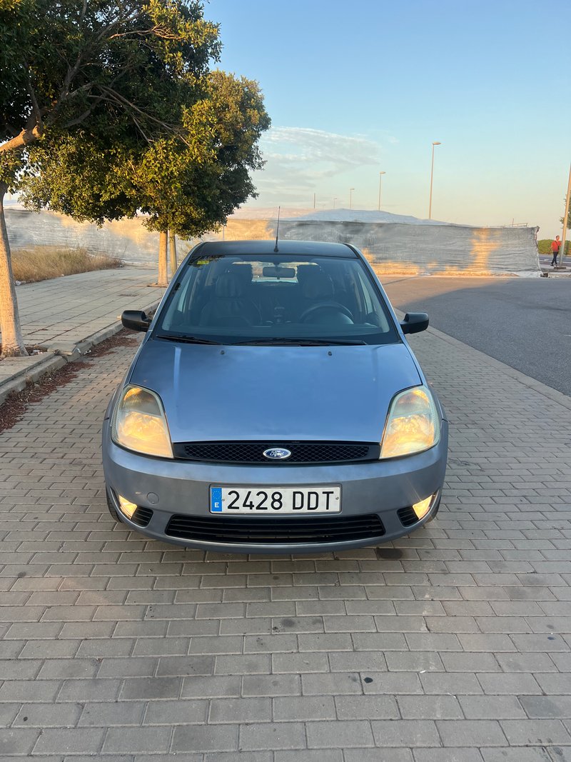 Ford Fiesta 1.4 TDCI - foto 1