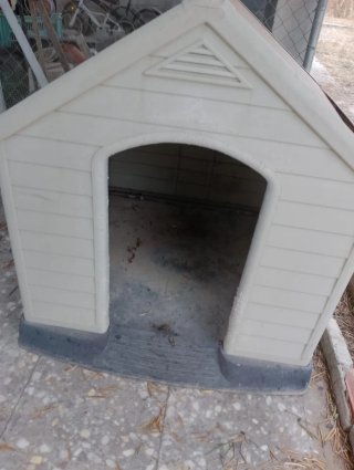 Caseta perro grande de plástico