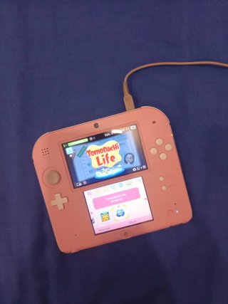Nintendo 2DS Rosa Tomodachi Life + 2 Cargadores