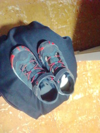Zapatillas