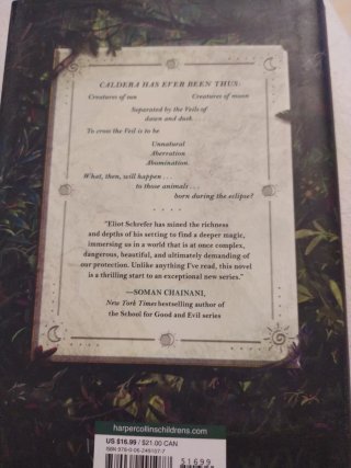 The Lost Rainforest #1: Mez's Magic