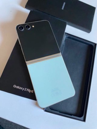Samsung Galaxy Z Flip 5 256GB Plata