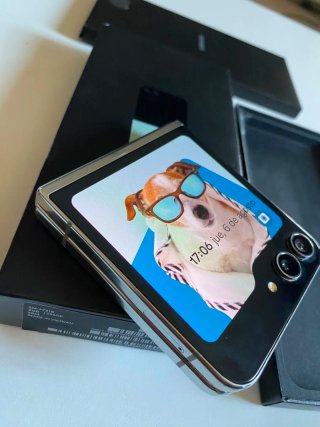 Samsung Galaxy Z Flip 5 256GB Plata