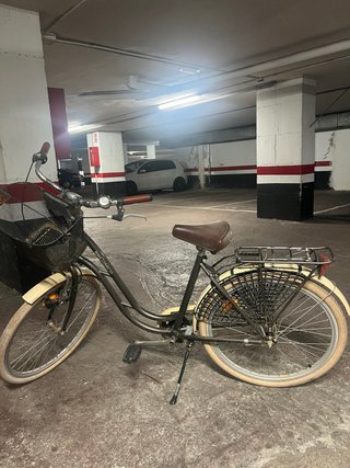 Bicicleta urbana con cesta y portabultos