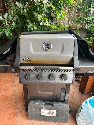 Barbecue Napoleon F425SBPGT-IT
