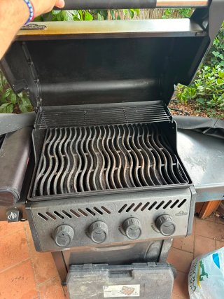 Barbecue Napoleon F425SBPGT-IT