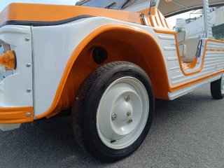 Citroen mehari 1994