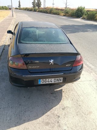 Peugeot 407 2005