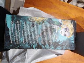 Monster High Skullector Lagoona Ghouls Rules