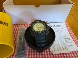 Citizen Promaster Aqualand Titanium