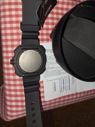 Citizen Promaster Aqualand Titanium