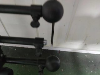 Reja maletero para perros ajustable