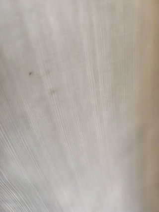 Pantalón Armani Beige