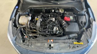 Ford FOCUS Active 1.0T EcoBoost mHEV 92kW 125CV (2024)