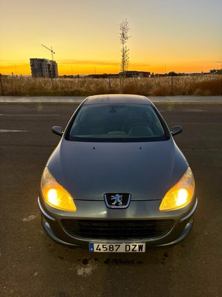 Peugeot 407 2006