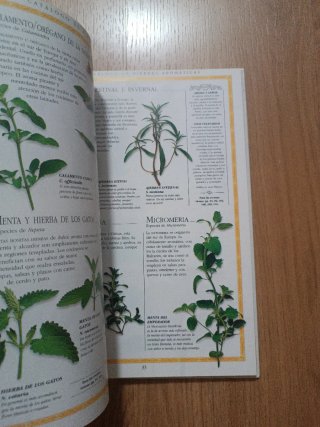La cocina clásica con hierbas aromaticas